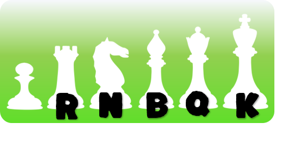 A  pawan, rook, bishop, queen, and king chess pieces in neon green background.